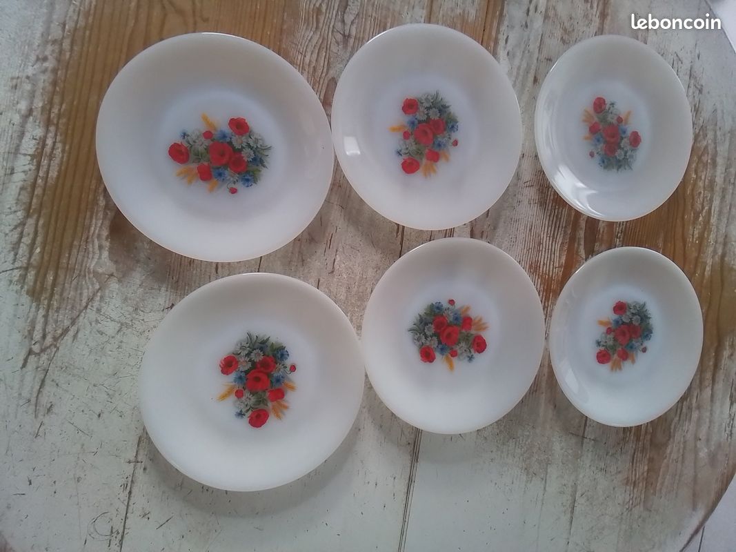 Lot De 6 Assiettes Arcopal Vintage Fleuries - Années 80, Parfait état