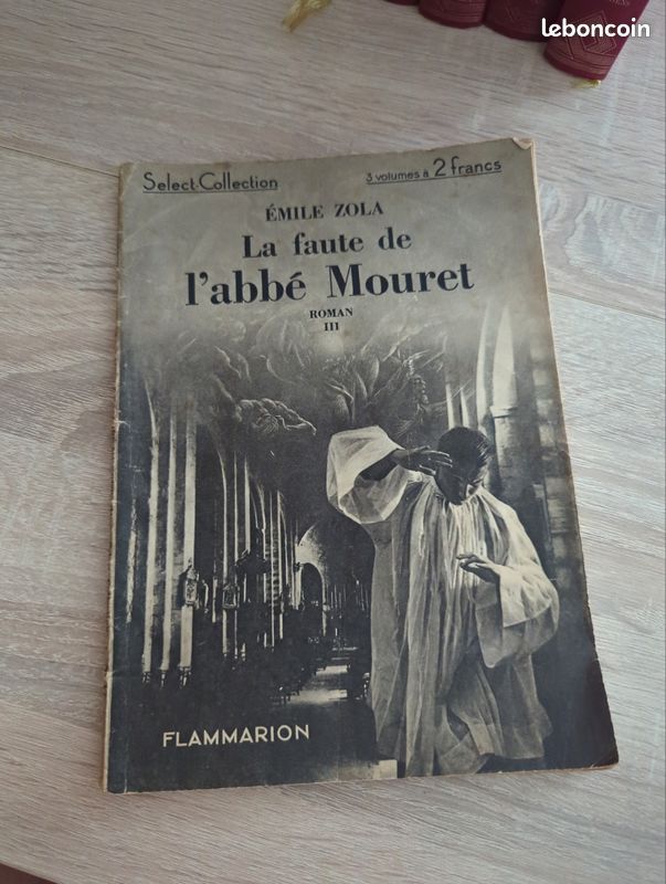 La faute de l'abbé Mouret (image 3)