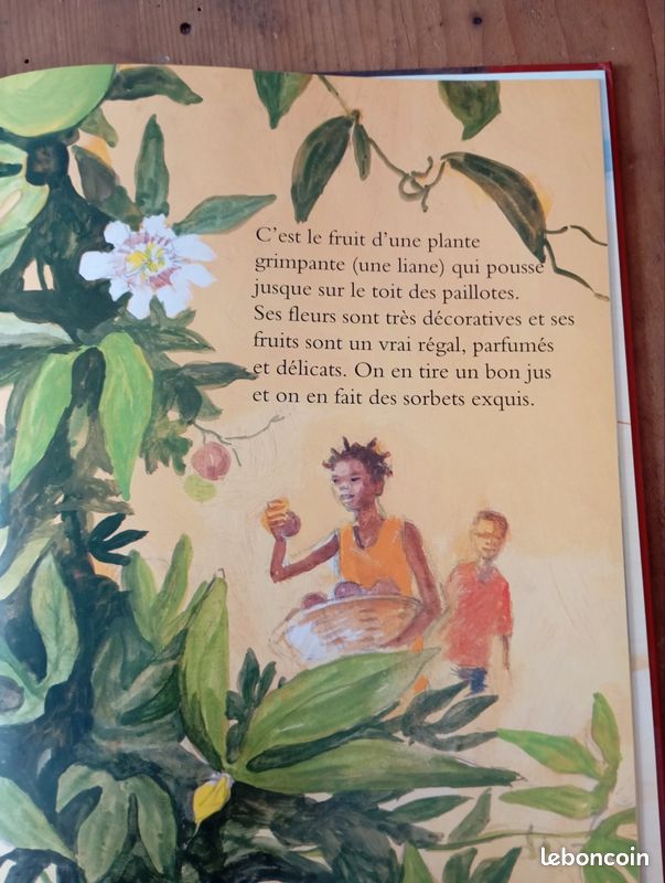 Les fruits du soleil (image 5)