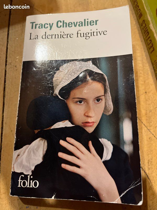 La dernière fugitive (image 1)