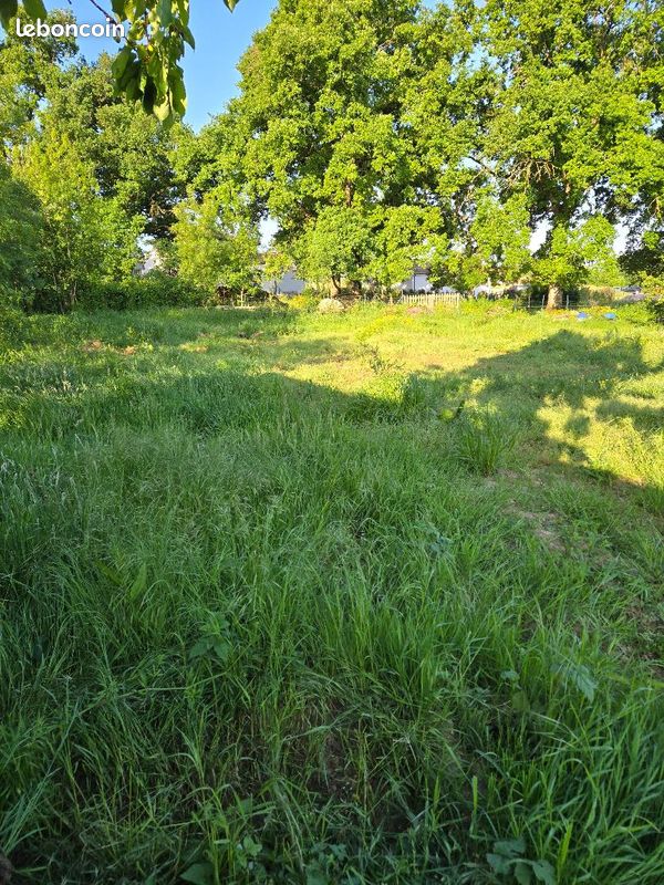 Terrain constructible · à La Romagne · 88 000 €