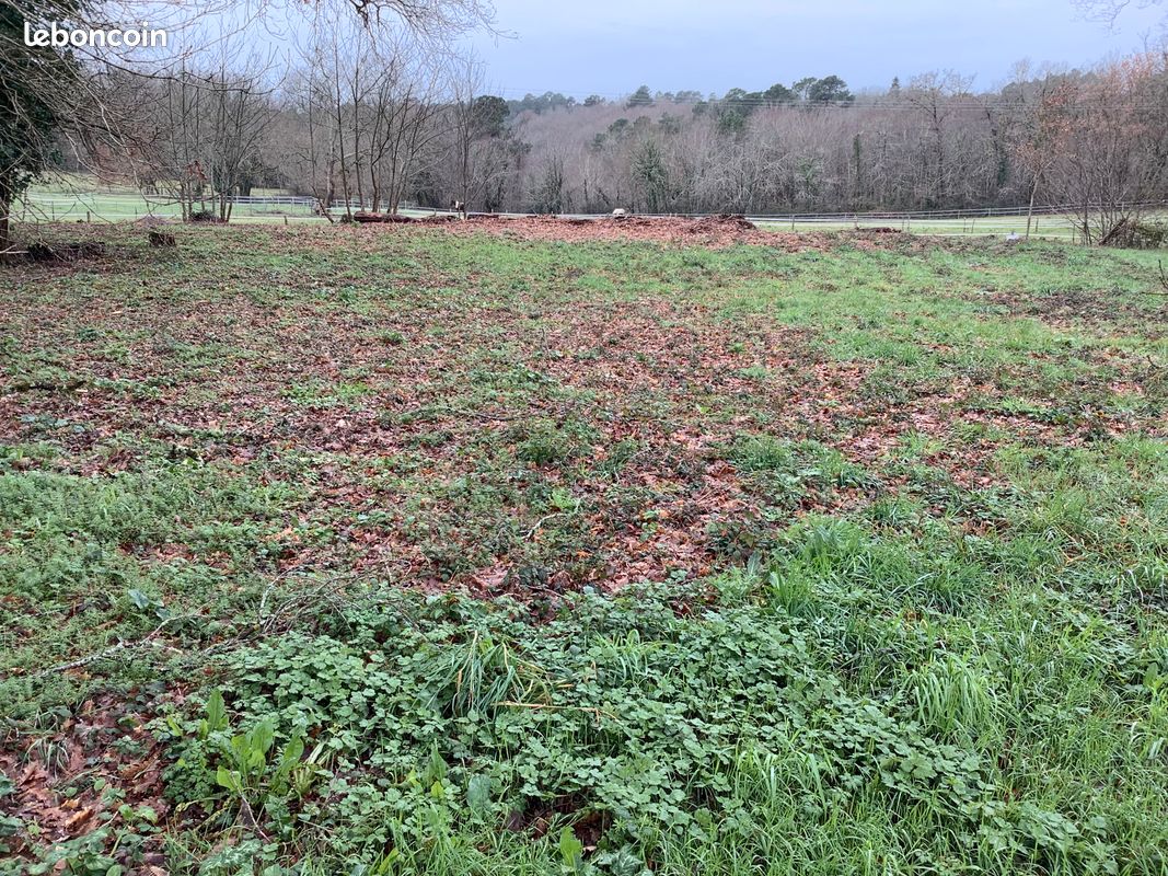 Terrain 2500 m² · à Coursac · 65 000 €