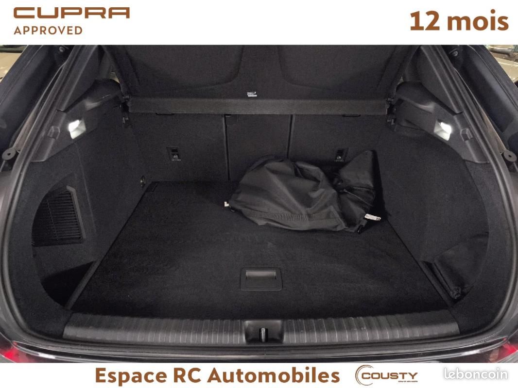 Cupra Terramar 1.5 eHybrid 204 ch DSG6 V (image 25)