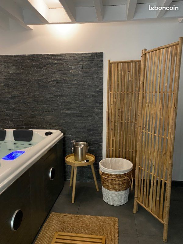 Duplex en location avec jacuzzi (image 5)