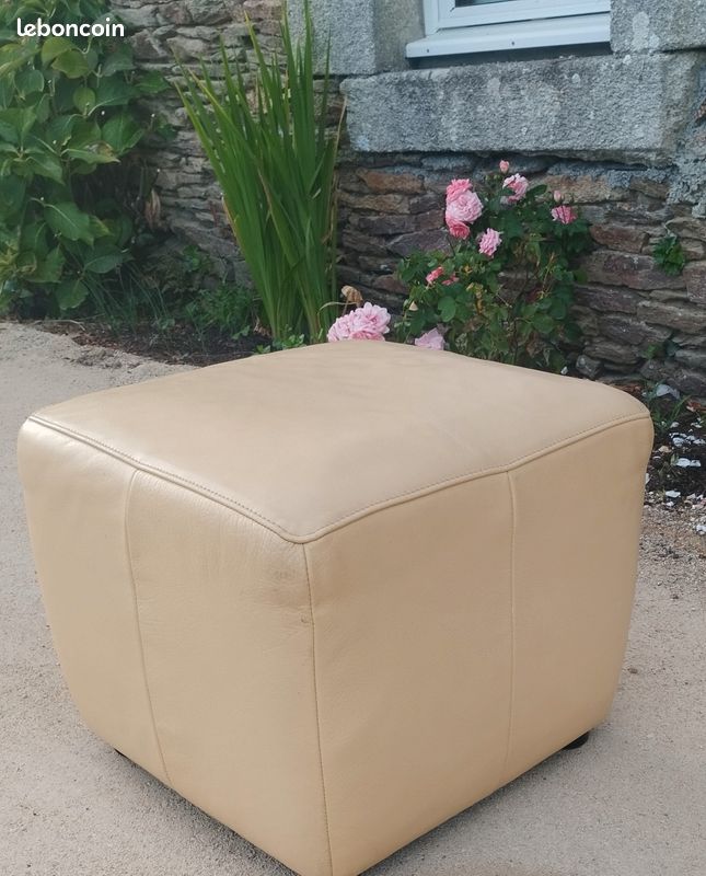 Pouf en cuir véritable (image 1)