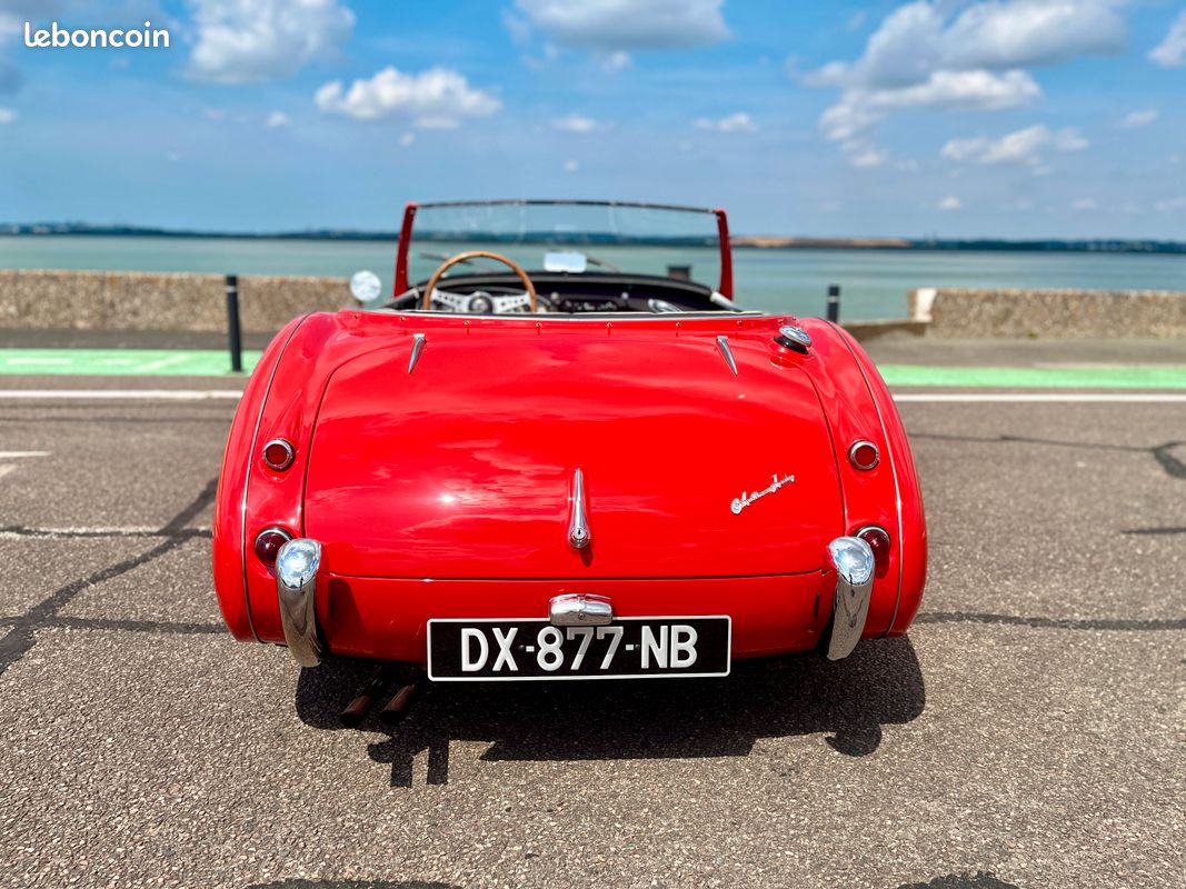 Austin Healey BN4 100/6 - 1958 (image 6)