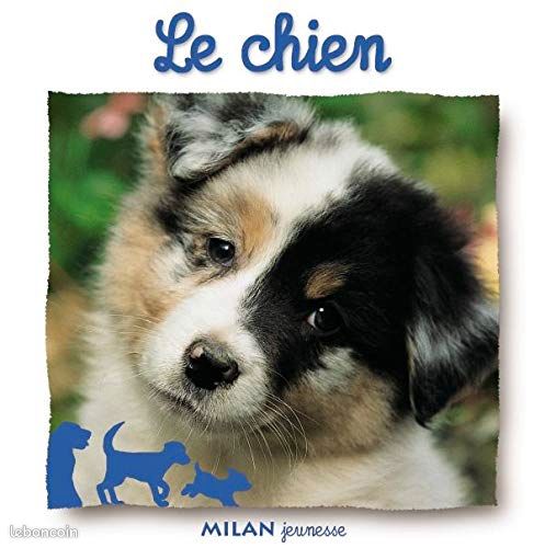 Le chien (image 1)