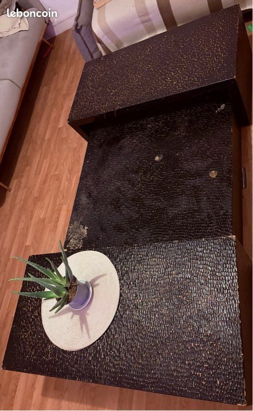 Table basse (image 3)