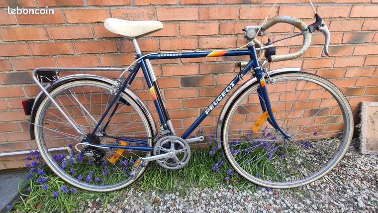 Buckler - Colnago - Decca... - Maillot de Cycliste