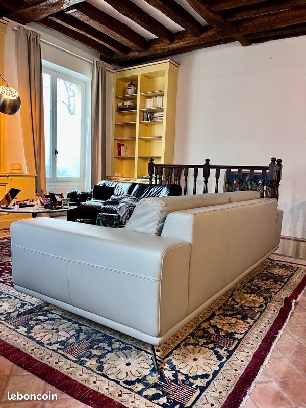 Canapé Roche Bobois gris (image 2)