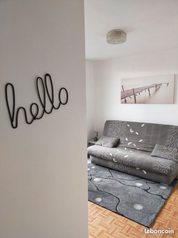 Appartement 1 pièce 20 m² · à Clermont-Ferrand · 20 m² · 490 €
