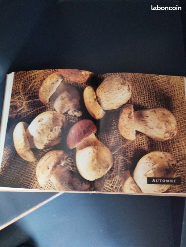 Les dimanches de Joël Robuchon (image 5)