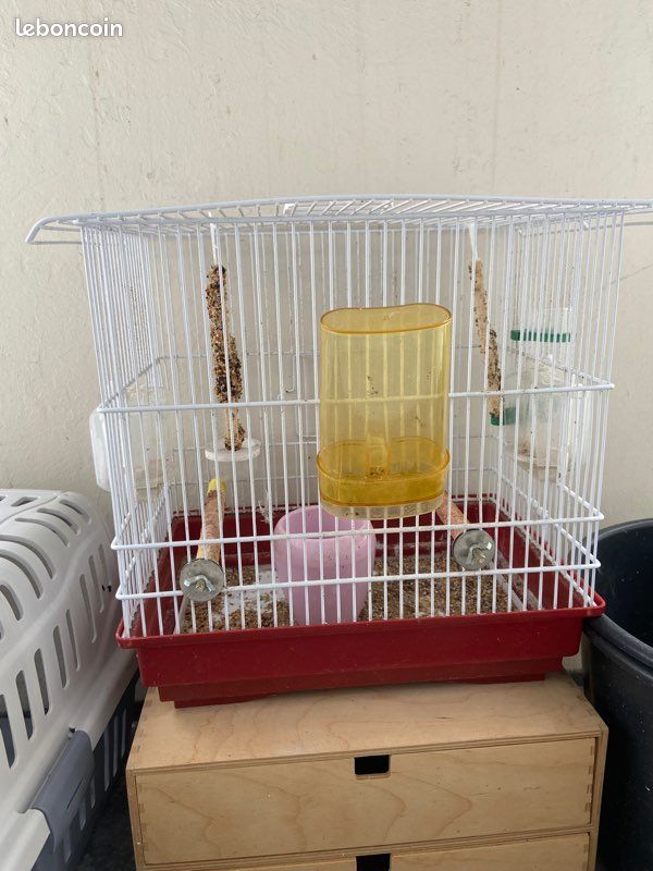 Cage à oiseaux (image 1)