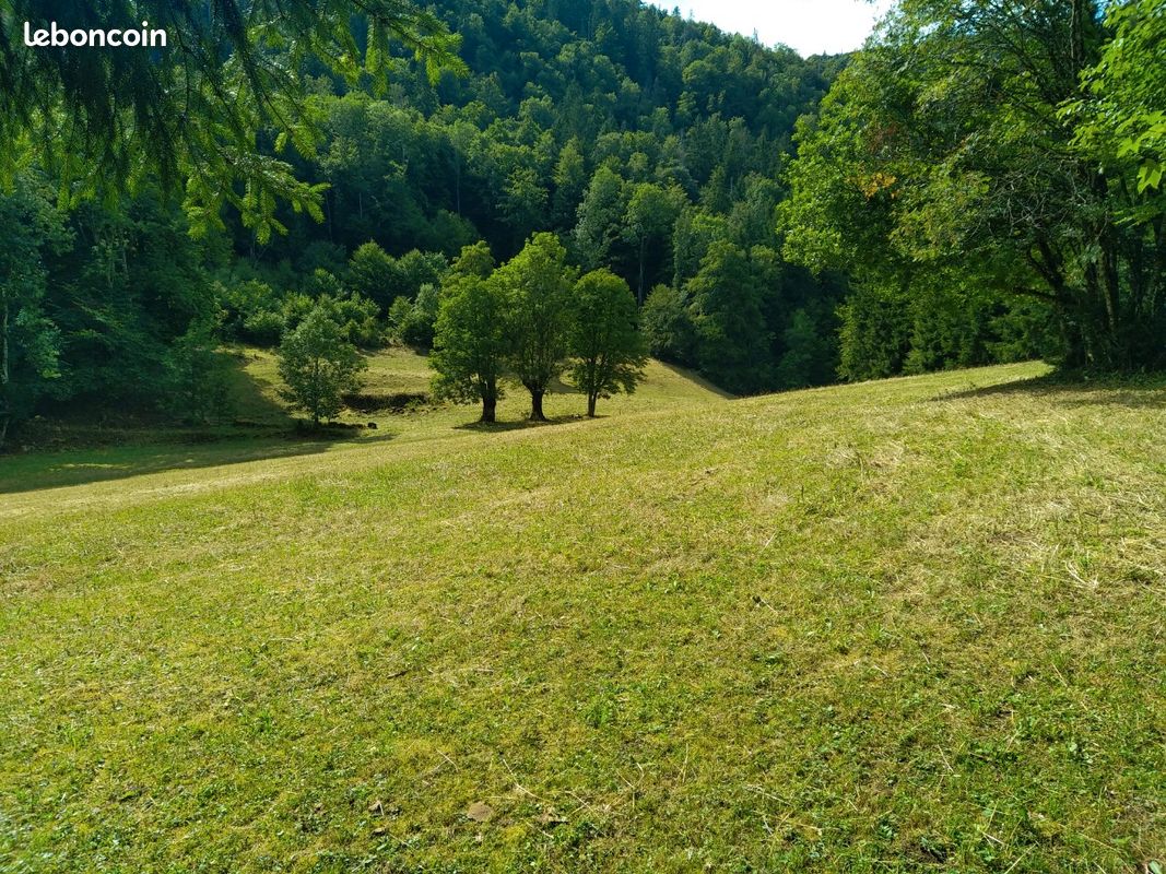 Terrain agricole d'alpage · à Onnion · 54 000 €