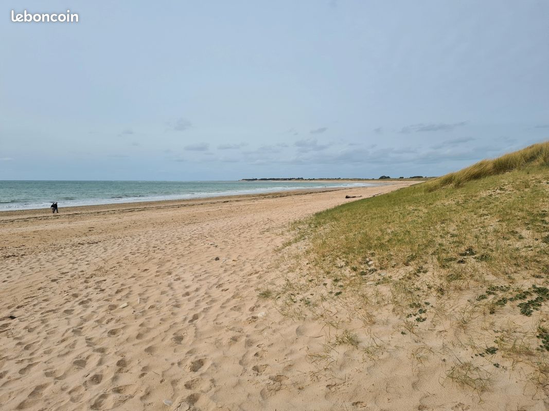 Maison de vacances au nord de L'Ile d'Oléron avec piscine (image 13)