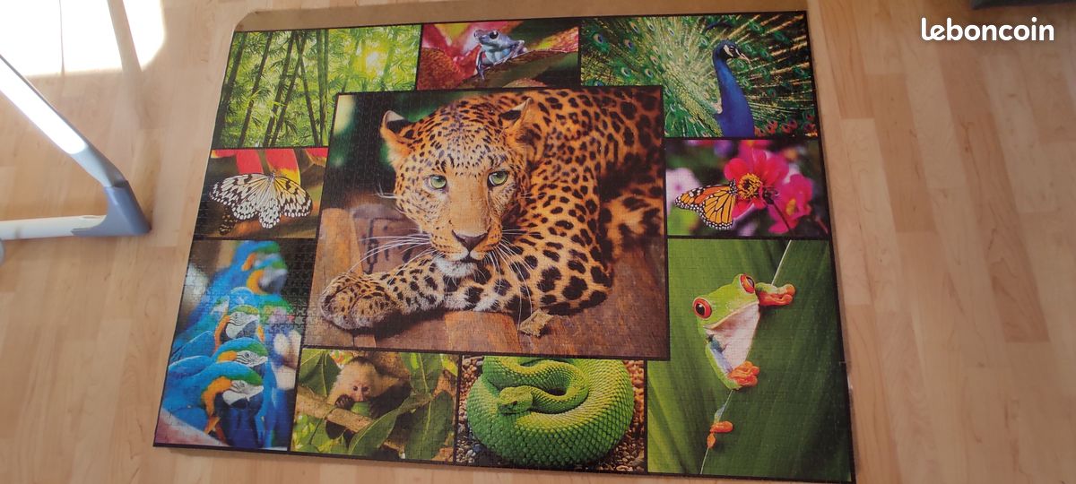 Puzzle 3000 pièces Trefl (image 2)