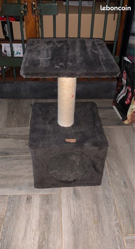 Arbre à chat (image 1)