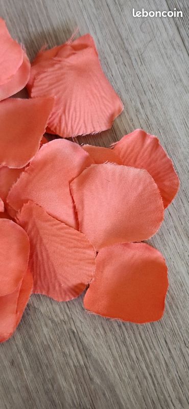 Lot 100 pétales de rose (image 4)