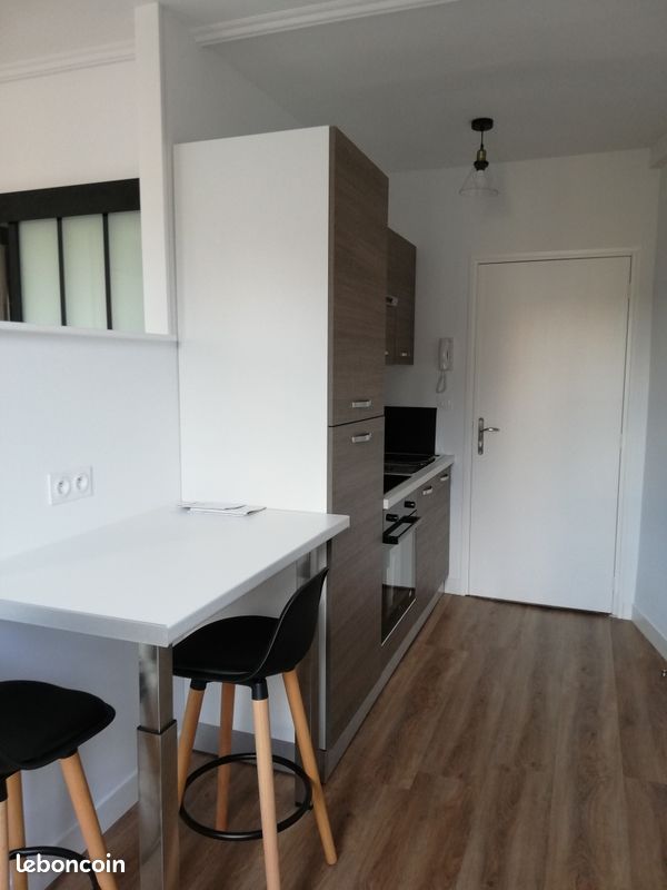 T1 secteur Mairie/Fac de Droit - Limoges 87000 Centre-Hôtel de Ville Emailleurs (image principale 1)