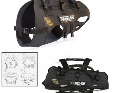 Harnais de transport hélitreuillage pour chien Accessoires animaux