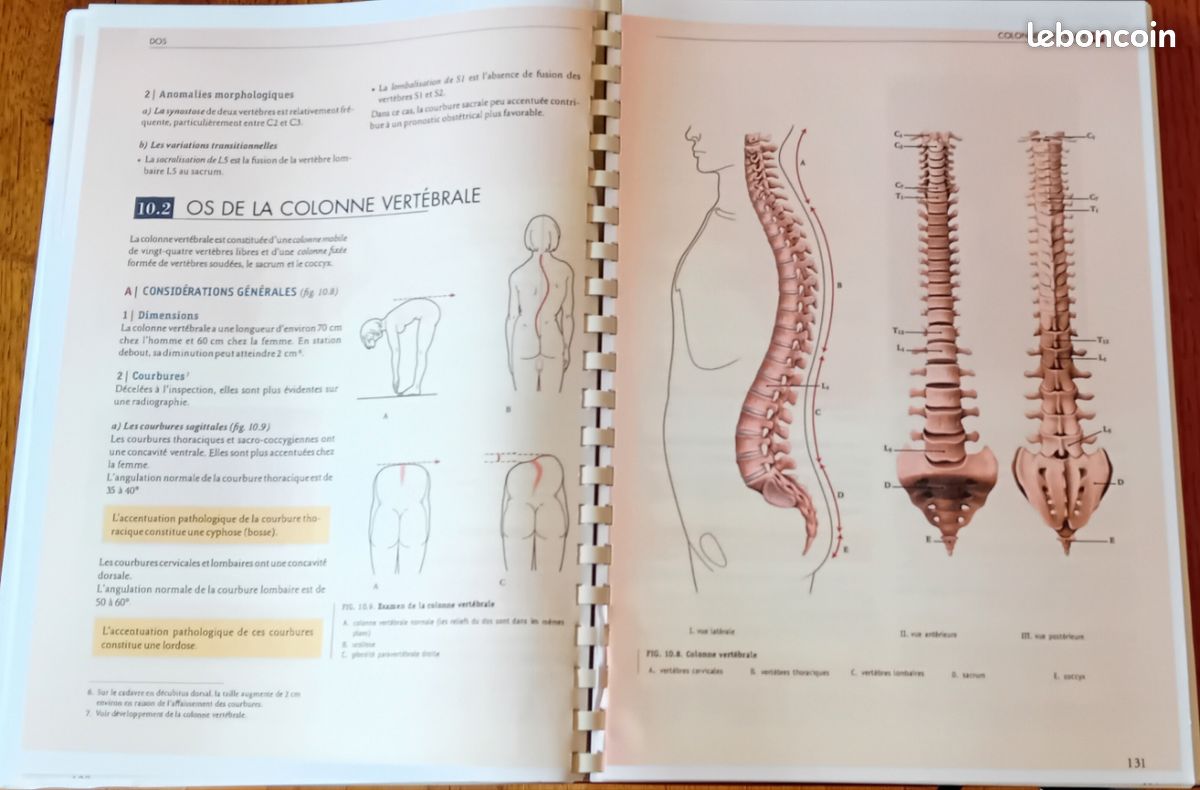 Livre photocopié Anatomie Kamina tome 2 (image 2)