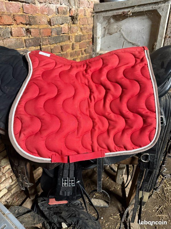 Tapis poney (image 1)