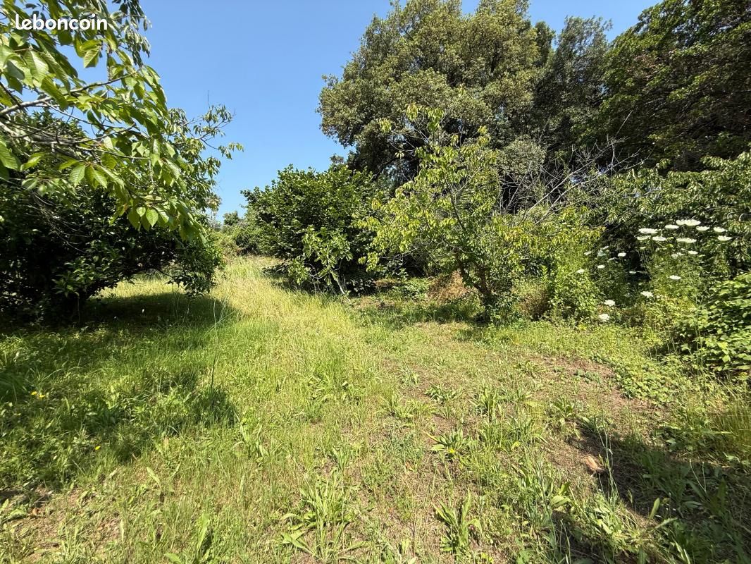 Villa 5 pièces 165 m² (image 11)
