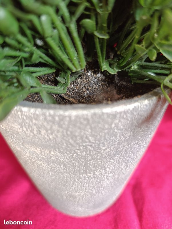 Petite plante artificielle type buis dans pot gris - Décoration Facile (image 6)