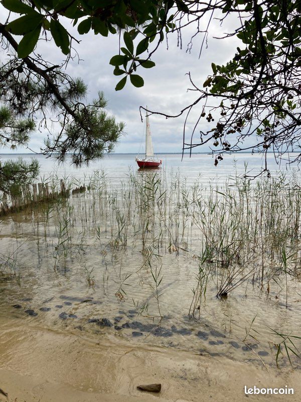 Edel 5 — View photo 1