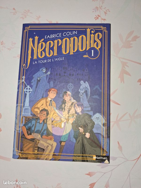 Livre Ado (image 1)