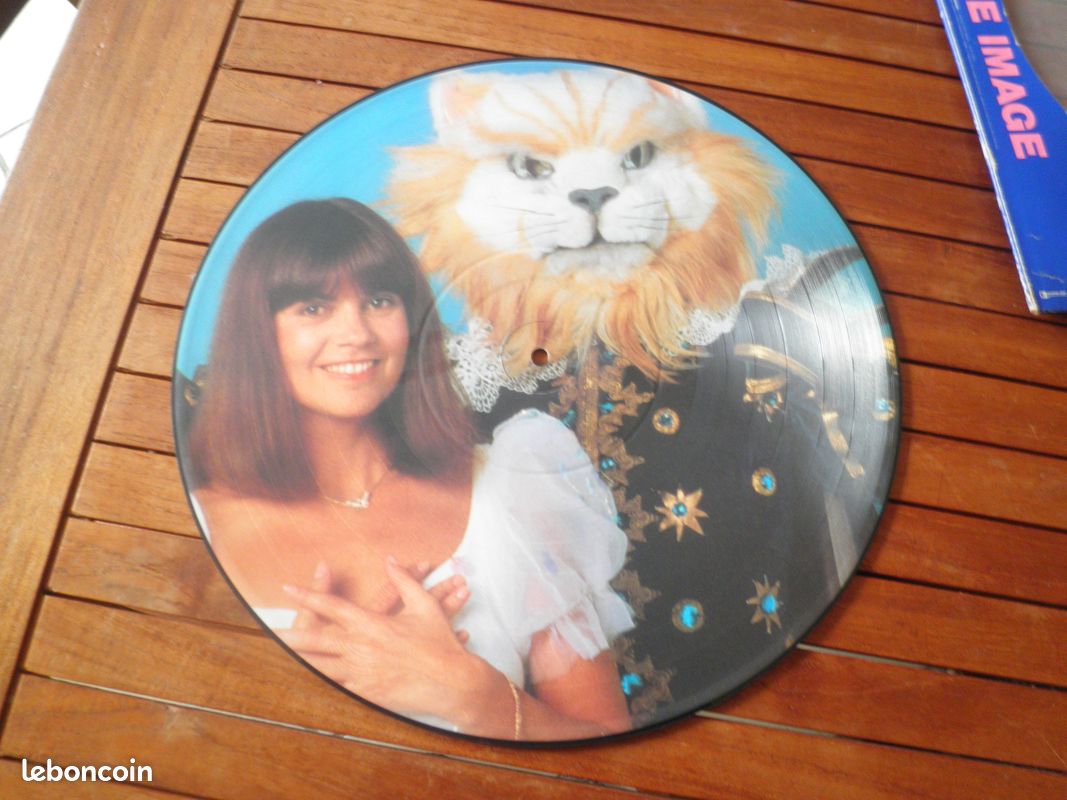 Vinyl 33 tours (image 3)