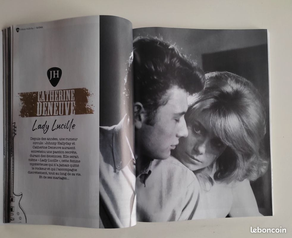 Livre collector Johnny Hallyday collection Icône (image 13)