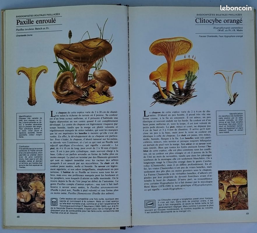 Guide des champignons (image 2)
