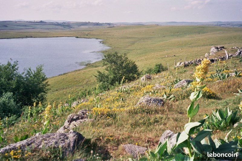 Lozère : Gîte 2/4p 3 épis au Calme sur l’Aubrac (image 9)