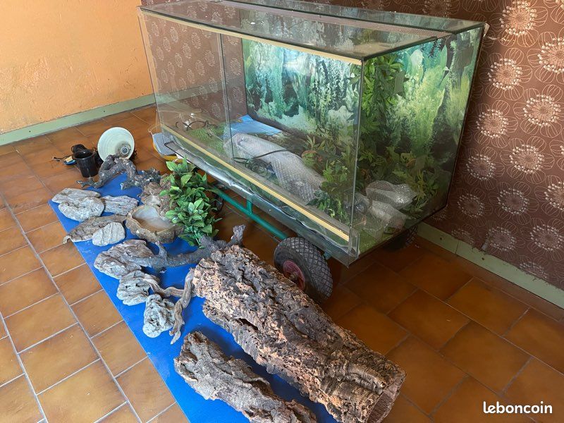 Vivarium (image 3)