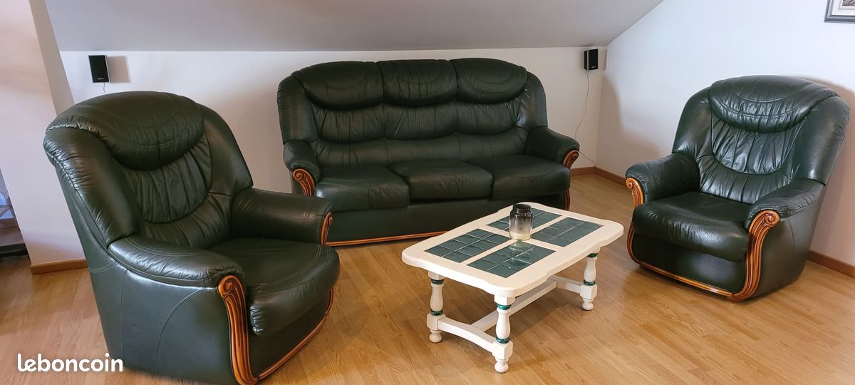 Salon en cuir vert (image 1)