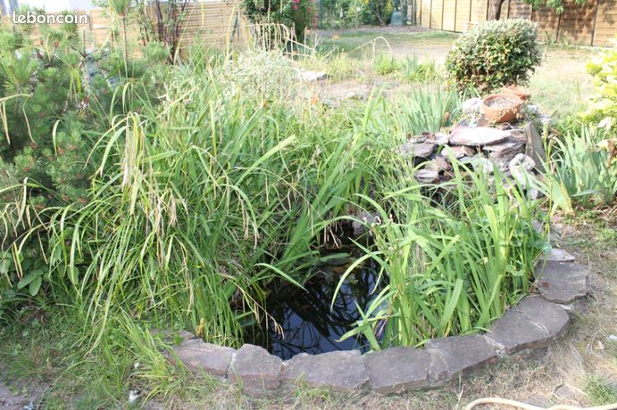 Maison a louer ermont - 5 pièce(s) - 134 m2 - Surfyn