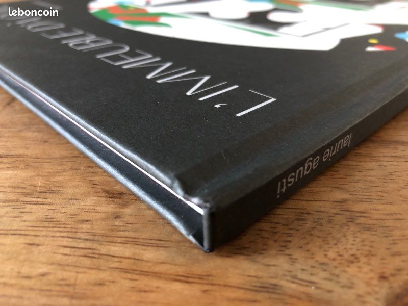 Livre Jeunesse . L’immeuble D’à Côté de Laurie Agusti (image 10)
