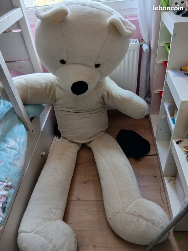 Ourson geant (image 1)