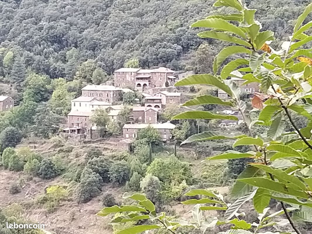 Authentique maison cévenole 8 personnes (image 10)