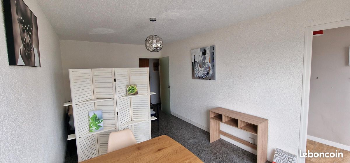 A louer T1 meublé 28m² - Limoges 87000 Centre-Hôtel de Ville Emailleurs (image principale 1)