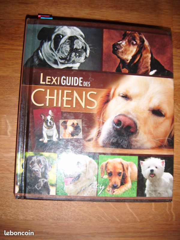 Choisir son chien (image 4)