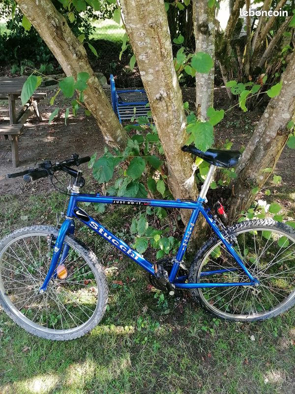 Vends 2 VTT (image 1)