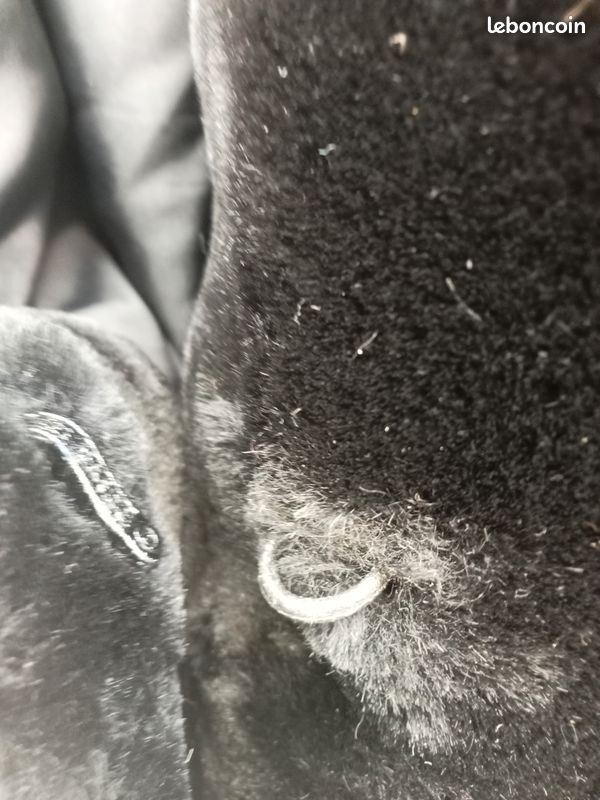 Manteau (image 3)