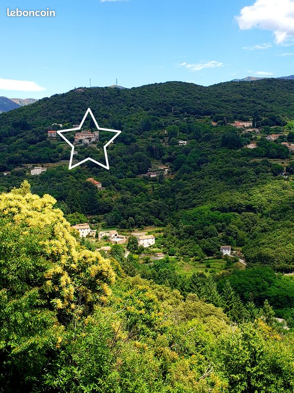 La Yourte aux Bambous en Cévennes (image 9)