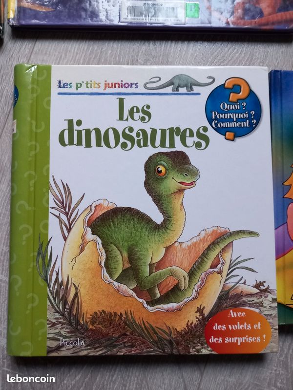 Lot livres sur les dinosaures (image 2)