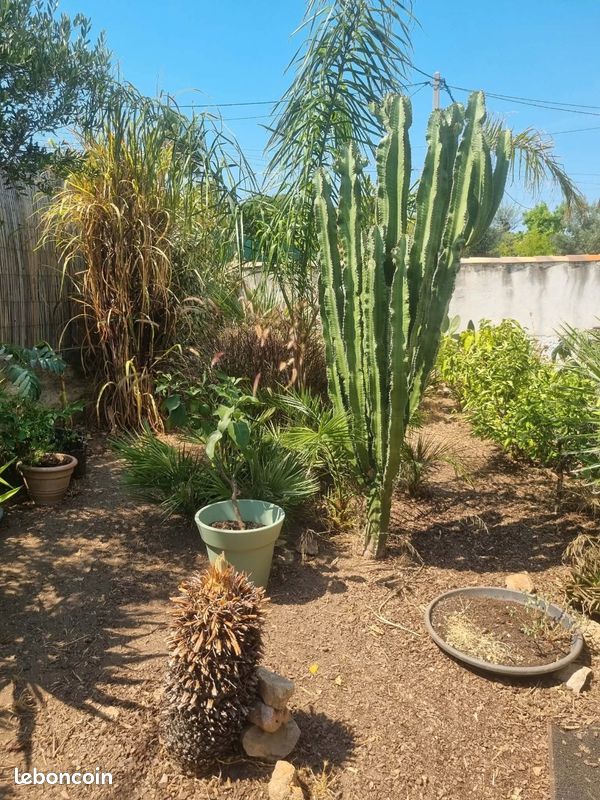 Maison 2 pièces 39 m² · à Bandol · 39 m² · 318 000 €