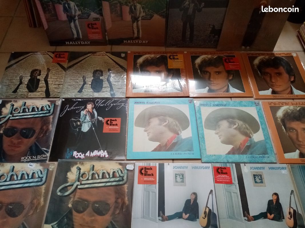 Nombreux disques vinyles johnny hallyday (image 2)