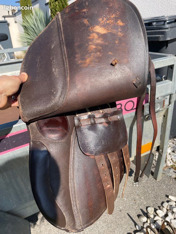 Selle Latérale Anglaise En Cuir – Taille 21 Pouces (Rose/Noir)