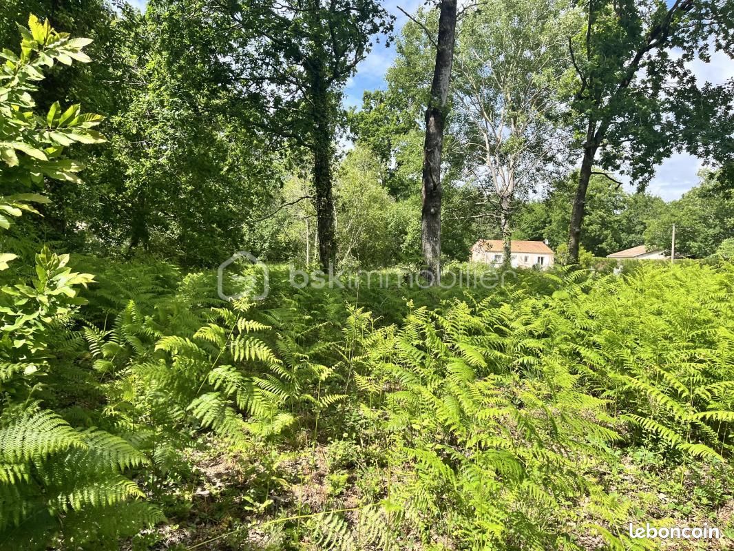 Terrain 1 280 m² Grayan Et L Hopital · à Grayan-Et-l'Hôpital · 50 000 €